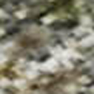HomeRoots 8' Olive Green and Gray Abstract Washable Round Rug with UV Protection for Stylish Home Decor 715564