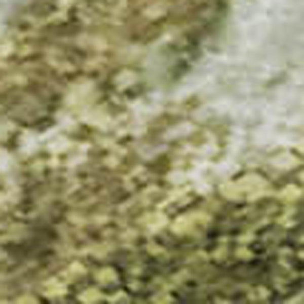 HomeRoots 5' X 8' Nautical Green and Gold Area Rug - Washable, UV Protected, Stain Resistant for Busy Homes 717298