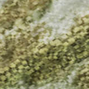 HomeRoots 10' X 14' Green And Gold Nautical Area Rug – UV Protected, Washable, Durable & Stylish for Any Space 717302