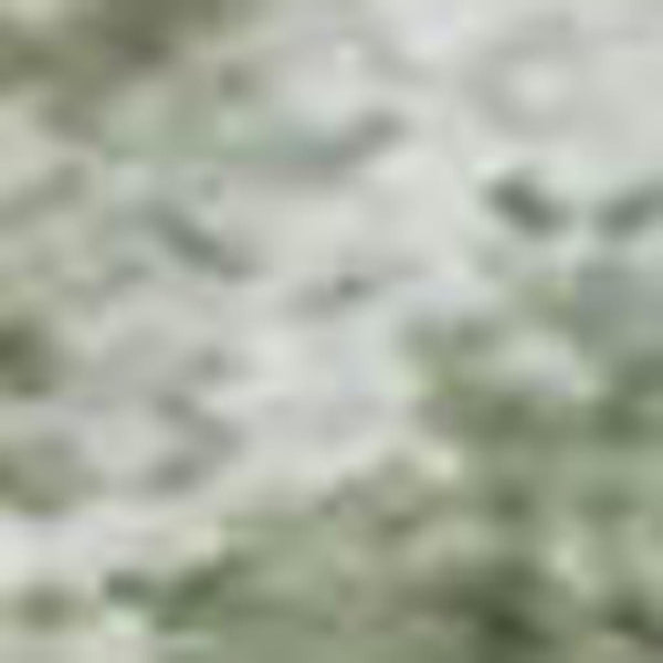 HomeRoots 9' X 12' Green and Sage Abstract Area Rug - Durable, Washable, UV-Protected for High-Traffic Spaces 717331