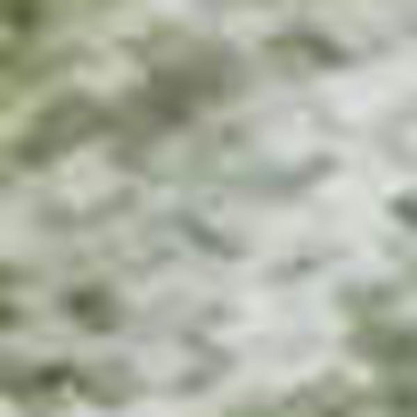 HomeRoots 10' Green and Sage Abstract Area Rug - Washable, UV-Protected, Durable for Family Spaces & Pets 717332