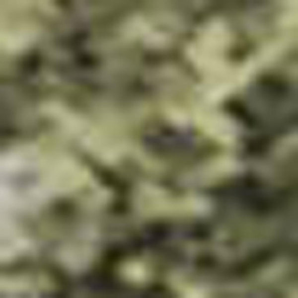 HomeRoots 10' X 14' Sage and Beige Abstract Area Rug - Washable, UV Protected, Durable Design for High Traffic Areas 717374