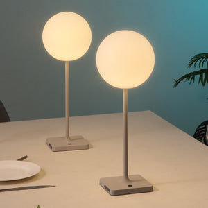 HomeRoots Set of Two Modern USB Table Lamps with LED Globe Shades for Cozy Lighting and Device Charging 718822