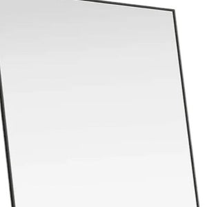 HomeRoots 70" Gold Metal Full-Length Mirror - Stylish Freestanding or Wall-Mount Design for Every Space 719120