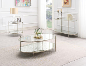 HomeRoots 54" Clear Glass and Champagne Steel Coffee Table with Storage Shelf - Modern Elegance for Any Space 719244