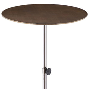 Bronze Silver Steel Adjustable Pedestal Side Table Modern Living Room Accent