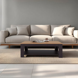 English Elm Coffee Table modern 16.2" H with 1 Shelf and Door, Space-Saving Engineered Wood Storage Solution Natural+Black 51.97 L x 28.74 W x 3.15 H B097P395881