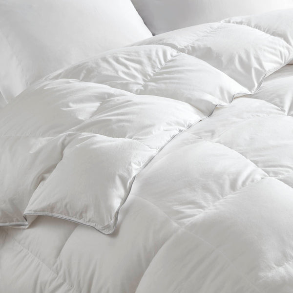 English Elm 1 Plush Full/Queen 100% Cotton Comforter 90x94 Soft Hypoallergenic Breathable Bedding Set B035P366555