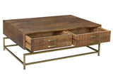 Moti Goldbust 2-Drawer Cocktail Table 72103002