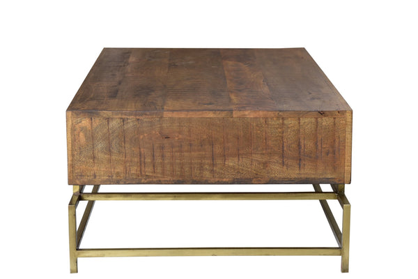 Moti Goldbust 2-Drawer Cocktail Table 72103002