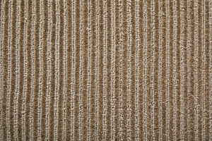 Hand Woven Nylon Area Rug Stain Resistant Tan Neutral Artisan Craft for Living Rooms