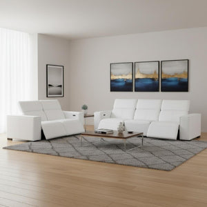Two Piece Genuine Leather Sectional Sofa Set Seating Five in Modern Living Room