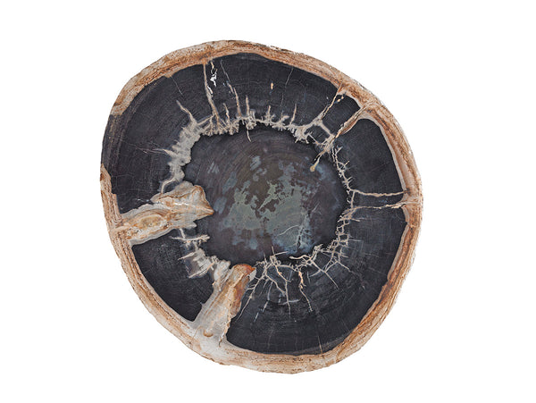 Lexington Cross Creek Contemporary Accent Table With Petrified Wood Top & Hand-burnished Silver Leaf Base Carrillo  721-958c