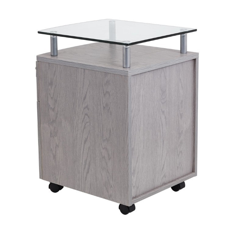 HomeRoots Gray Glass Metal Office Filing Cabinet with Dual Drawers and Rolling Mobility 723069