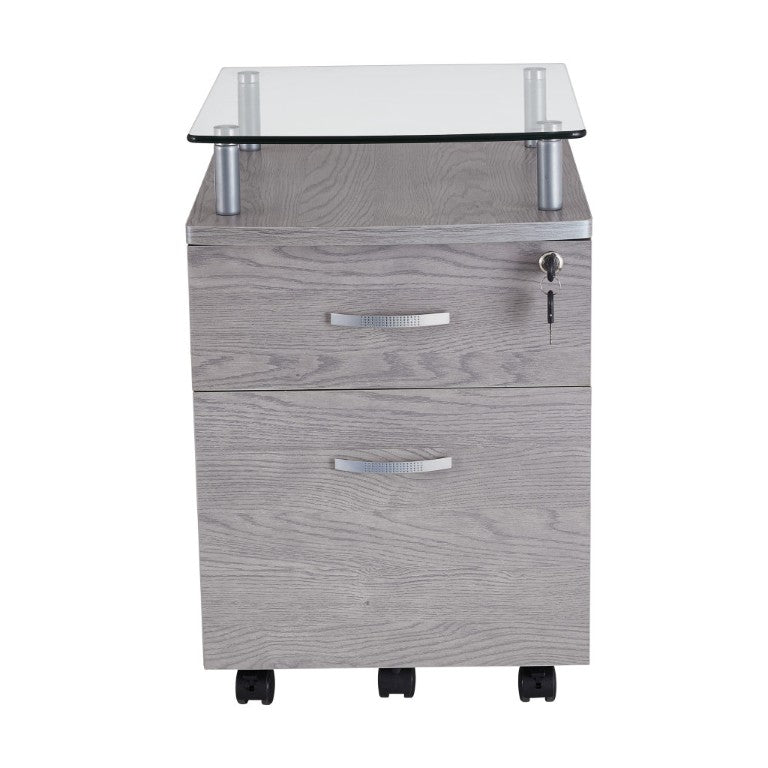 HomeRoots Gray Glass Metal Office Filing Cabinet with Dual Drawers and Rolling Mobility 723069