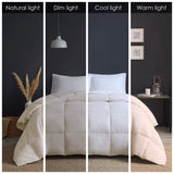 True North by Sleep Philosophy Heavy Warmth Casual Goose Feather and Down Oversize Comforter TN10-0539 Cream