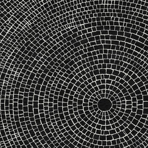 9x12 Geometric Polyester Indoor Outdoor Rug Machine Washable Bold Black Ivory Pattern
