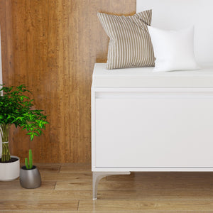 English Elm Wall-Mounted Entryway Shelf Bench with Hooks, Padded Cushion & Closed Shoe Cabinet for Hallway W808P316356