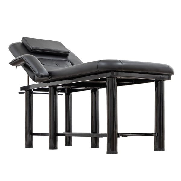 English Elm Professional Spa Treatment Bed with Pu Leather Cushion Steel Frame and Storage Shelf W1422P365689
