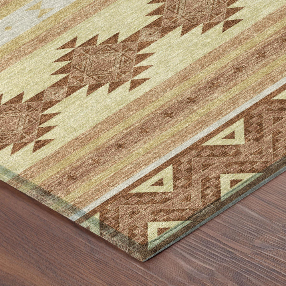10 X 14 Southwestern Washable Polyester Area Rug for Indoor Outdoor Living Spaces