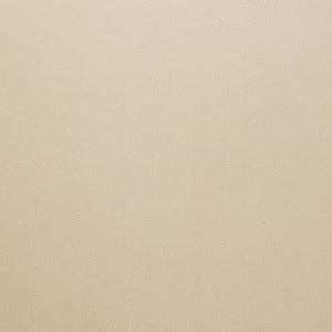 English Elm Rendina Velvet Upholstered Dining Armchair Set of 2 – Curved Open-Back Comfort with Luxe Foam Seating and Metal Frame Beige B062P299828