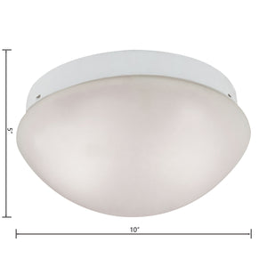 Thomas Lighting Elowen 2 Light Flush Mount Bubble Glass Dome Ceiling Fixture for Modern Interiors 7352FM/40