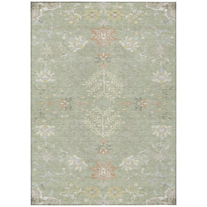 HomeRoots 8 X 10 Oriental Polyester Area Rug Washable Stain Resistant Indoor Outdoor Green 736129