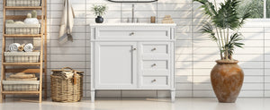 English Elm 36'' Modern Bathroom Vanity With Storage, Elegant Resin Sink, 2 Drawers & Tip-Out Drawer Design N710S136004K