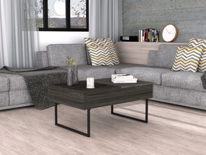 English Elm Georgetown Multicolor Lift Top Coffee Table with Concealed Storage, Spacious Surface & Metal Legs B128P148917