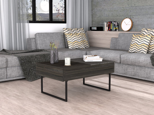 English Elm Georgetown Multicolor Lift Top Coffee Table with Concealed Storage, Spacious Surface & Metal Legs B128P148917
