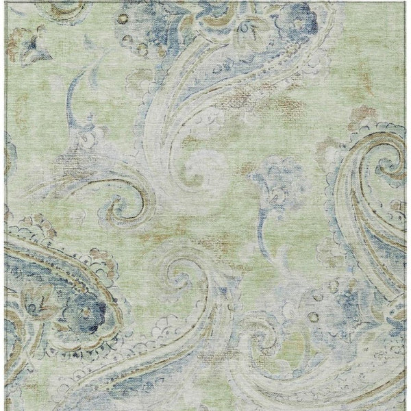 8 X 10 Paisley Polyester Indoor Outdoor Rug Stain Resistant for Patio or Living Room
