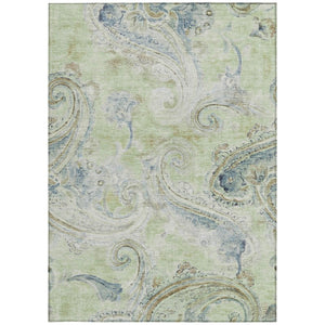8 X 10 Paisley Polyester Indoor Outdoor Rug Stain Resistant for Patio or Living Room