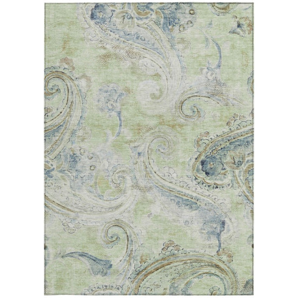 8 X 10 Paisley Polyester Indoor Outdoor Rug Stain Resistant for Patio or Living Room