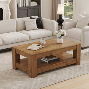 English Elm A Modern Two-tier Mdf Coffee Table with Open Shelf for Living Room Storage W3875P392271