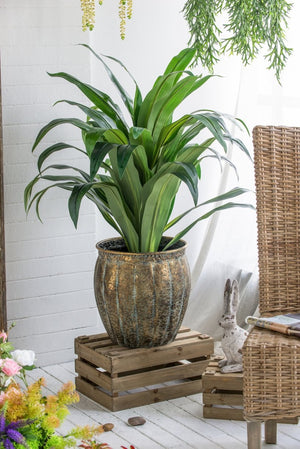 English Elm Set of 2 Distressed Iron Planters with Golden Patina for Indoor Outdoor Decor W2078P498286