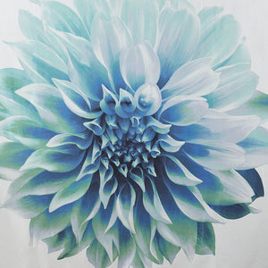 JLA Home Madison Park - Printed Floral Cotton Percale Shower Curtain — 200TC, photo-realistic fade-resistant blooms, breathable 72x72 MP70-4800