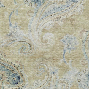 5 X 8 Washable Paisley Polyester Area Rug for Indoor Outdoor Patio Living Spaces
