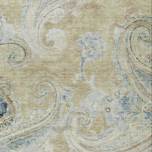 10 X 14 Paisley Polyester Area Rug Stain Resistant for Indoor Outdoor Living