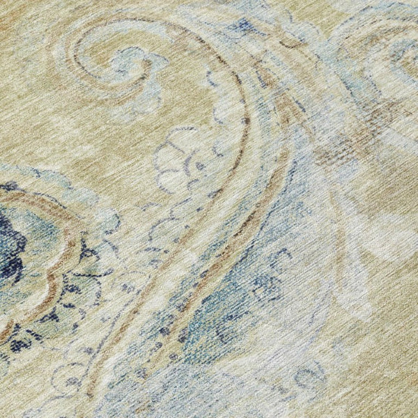 10 X 14 Paisley Polyester Area Rug Stain Resistant for Indoor Outdoor Living