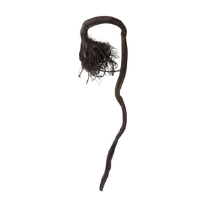 Curly Black Kelp Root 742007 Elk Home