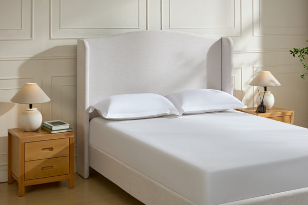 English Elm Hannah Tall 54" Upholstered Wingback Queen Bed with Textured Ivory Chenille, Walnut Feet, No Box Spring Needed B083P227902