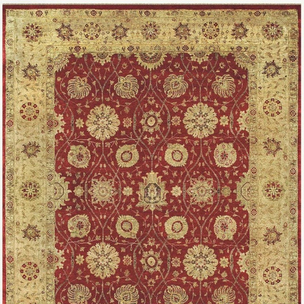 4x6 Hand Knotted Wool Oriental Rug Stain Resistant Artisan Crafted Accent