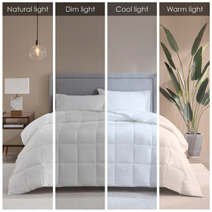 JLA Home Sleep Philosophy - Cotton 3M Thinsulate Featherless Comforter — 300TC Cotton Sateen, Hypoallergenic Loft & Machine Washable 104 L x 90 W x 1.5H BASI10-0295