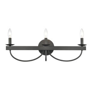 Williamson 24'' Wide 3-Light Vanity Light - Black 75075/3 Elk Lighting