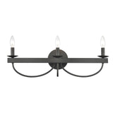 Williamson 24'' Wide 3-Light Vanity Light - Black 75075/3 Elk Lighting