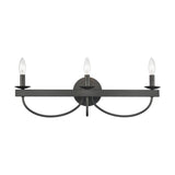 Williamson 24'' Wide 3-Light Vanity Light - Black 75075/3 Elk Lighting