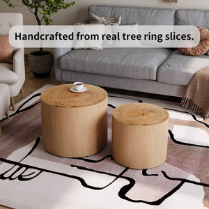 English Elm Nesting Round Coffee Tables Set Tree Ring Veneer Organic Modern Accent for Living Room W1435P254288
