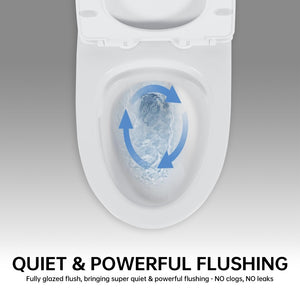 English Elm 1.1/1.6 Gpf Elongated One-piece Toilet Skirted Ceramic Comfort Height Watersense B2724P246933