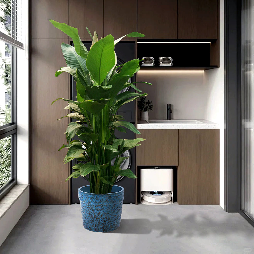 English Elm 3 Pieces Ceramic Flowerpot Set - Handcrafted Antique Blue Planters For Indoor & Outdoor Decor W3273P321470