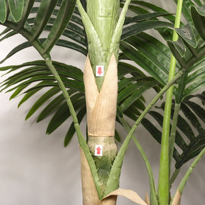 English Elm 6ft Golden Cane Faux Palm Tree Lifelike Tropical Foliage for Indoor Patio Decor W3912P387415